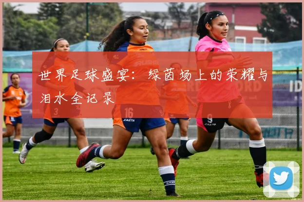世界足球盛宴：绿茵场上的荣耀与泪水全记录