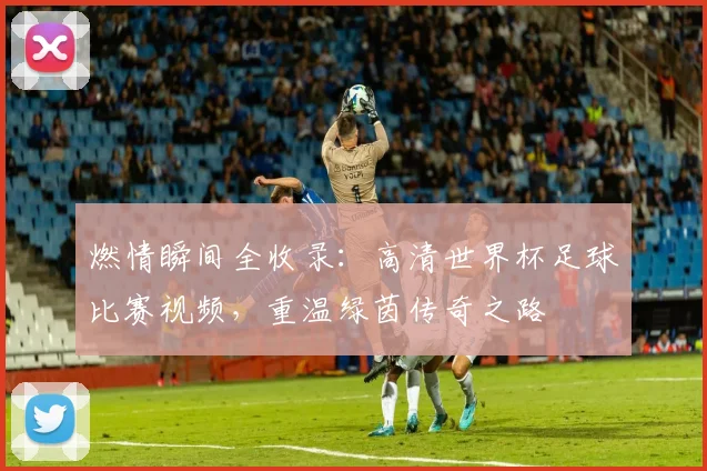 燃情瞬间全收录：高清世界杯足球比赛视频，重温绿茵传奇之路